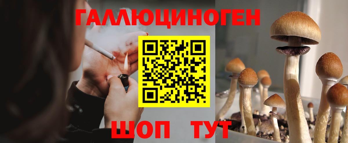 Рассказово  Галлюциногенные грибы GOLDEN TEACHER  Вход с VPN 
